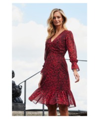 Sosandar Womens Red Leopard Print Fit & Flare Dress - Animal - Size 22 UK